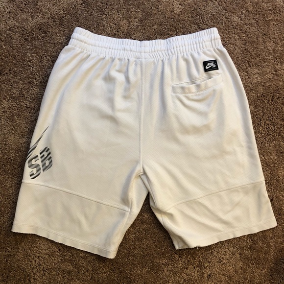 Nike SB Sunday Stripe Dri-fit Shorts - Picture 2 of 4